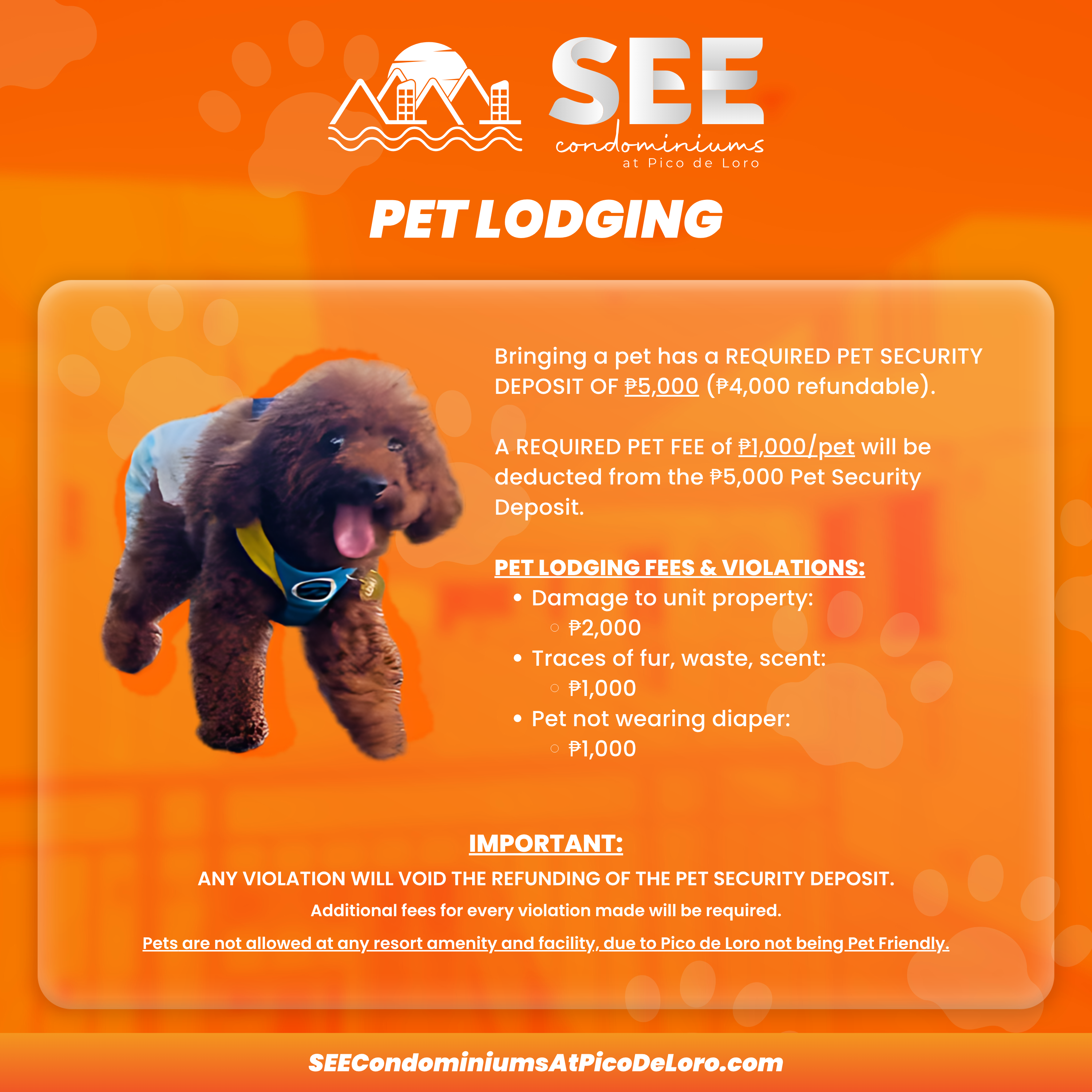 Pet Policy